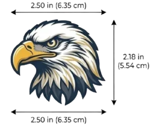 Custom Patches In Taxas