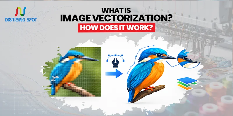 What Is Image Vectorization? How Does It Work?